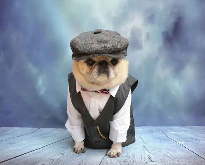 Puglas P. Arthur. Esq.