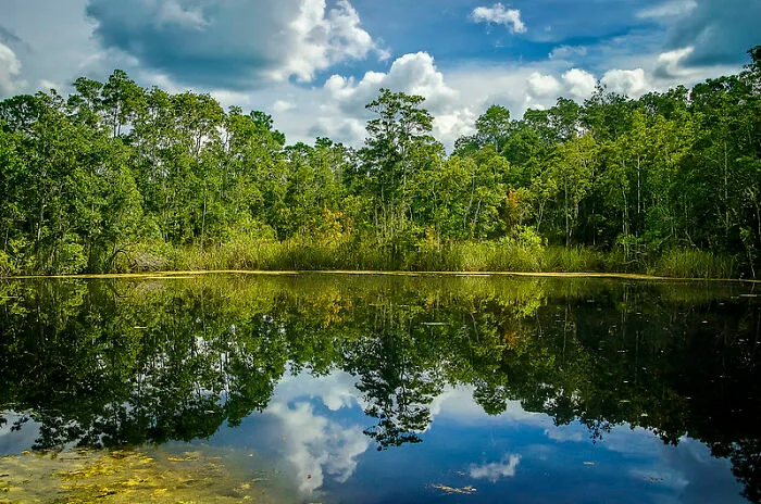 Do Not Swim In Standing Bodies Of Water In Florida