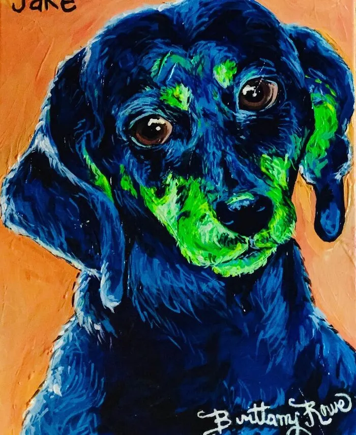 Jake The Dachshund