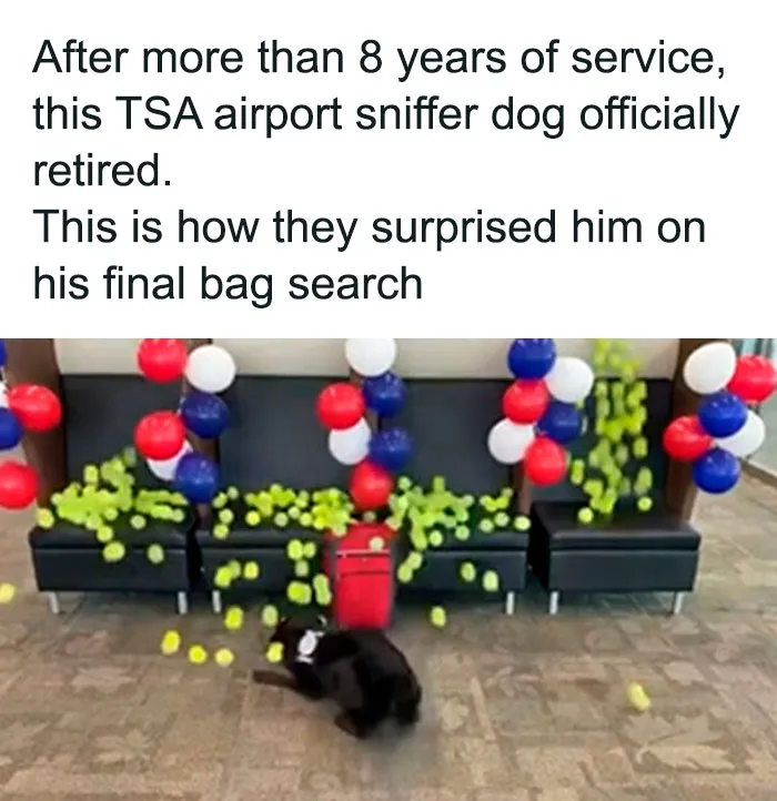This Instagram Account Shares Uplifting News From Around The World So You Can See All The Good There Is (50 Posts)