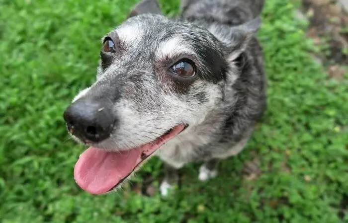 My Happy Girl, Tonks!