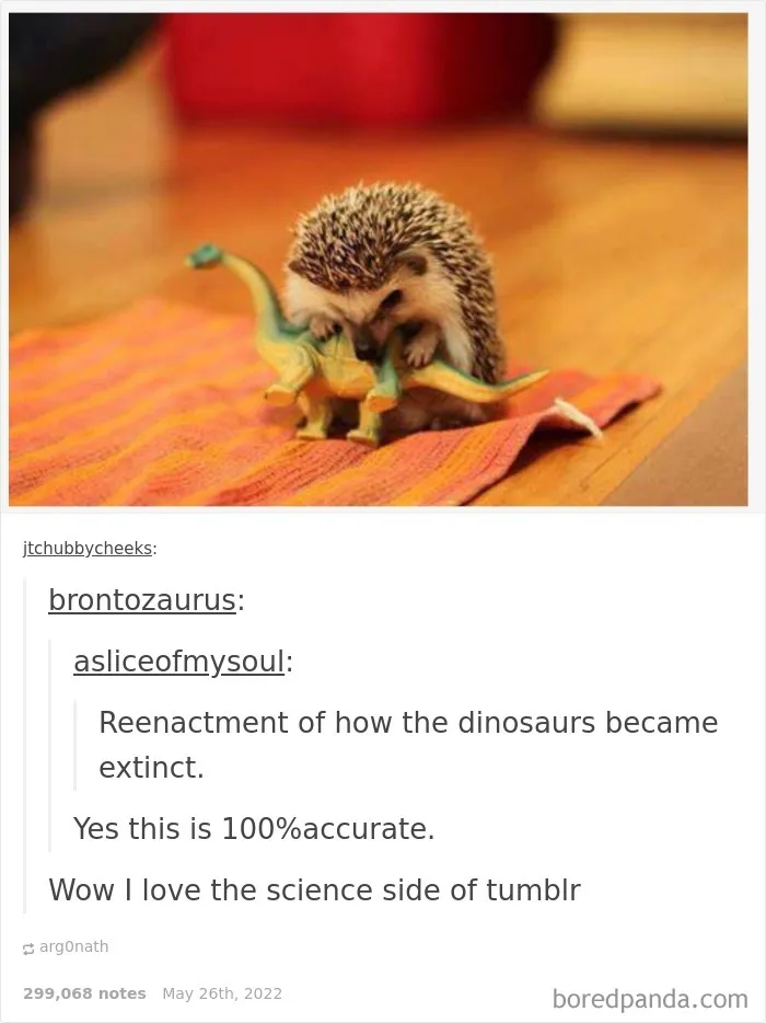 50 Times "The Weird Side Of Tumblr" Didn't Disappoint