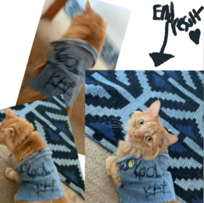 He Refused To Stay Still!! I Made Him A Jacket And This Is How He Thanks Me?!