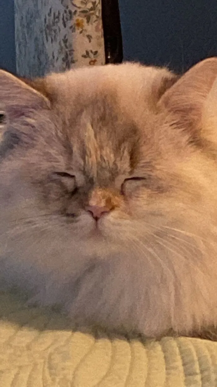 Love Of Our Household