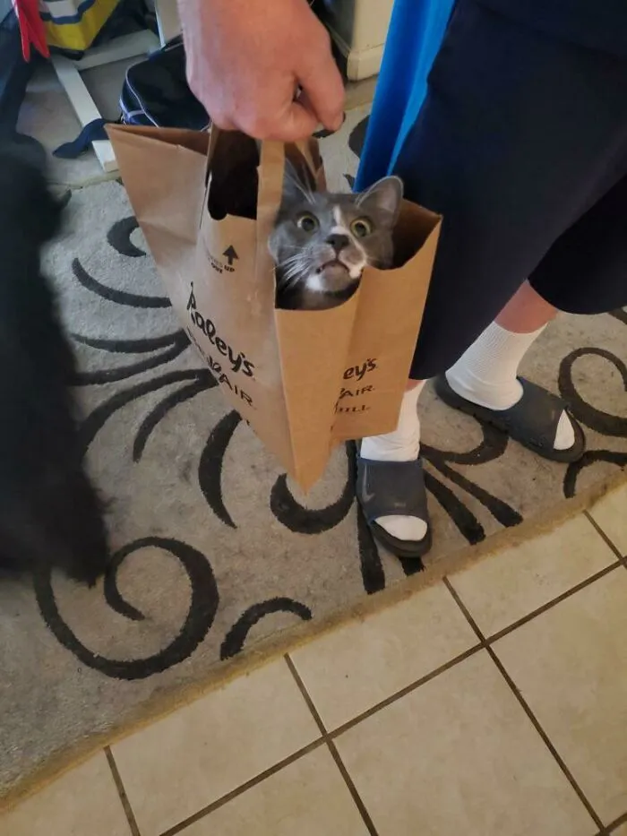 He Realized The Box He Entered Is No Longer Stationary