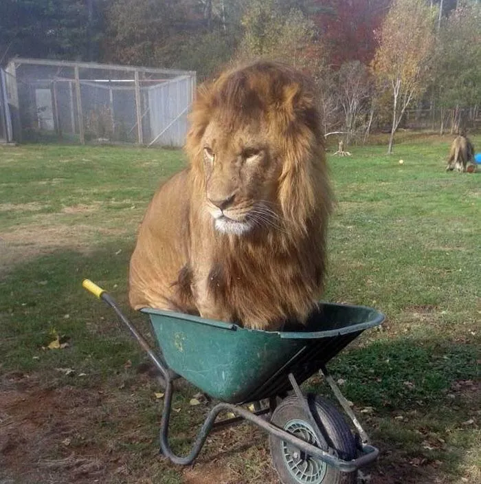Does This Count?