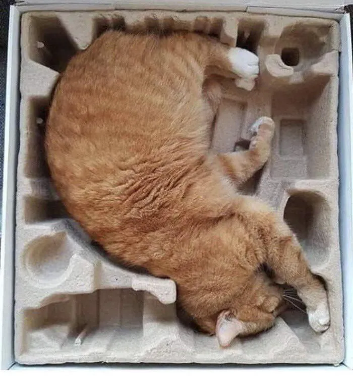 Perfection Boxes