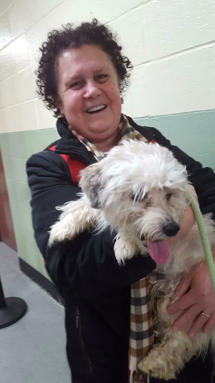 The Face Of A Dog Who's Spent His Last Night Ever In The Shelter. And The Face Of My Mother In Law Who's Spent Her Last Day Without A Puppy To Snuggle Ever. I Don't Know Who's Happier.
