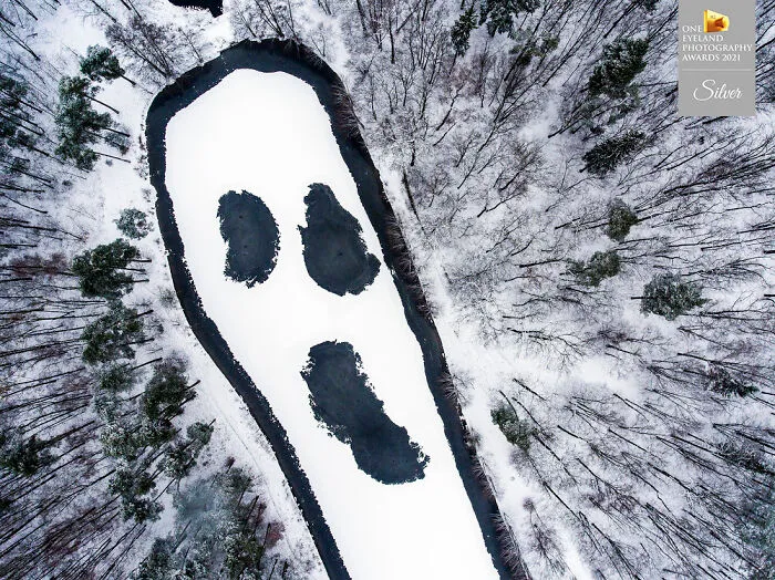 "Scream Of The Forest" By Arkadiusz Dalak. Silver In Nature, Aerial