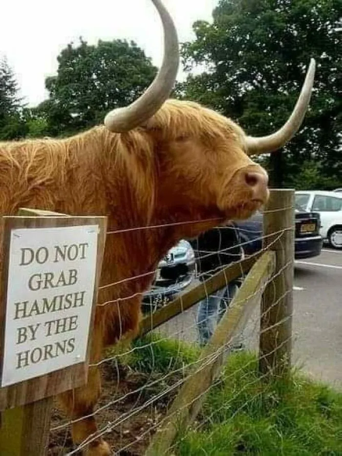 Trust Me, I Won't