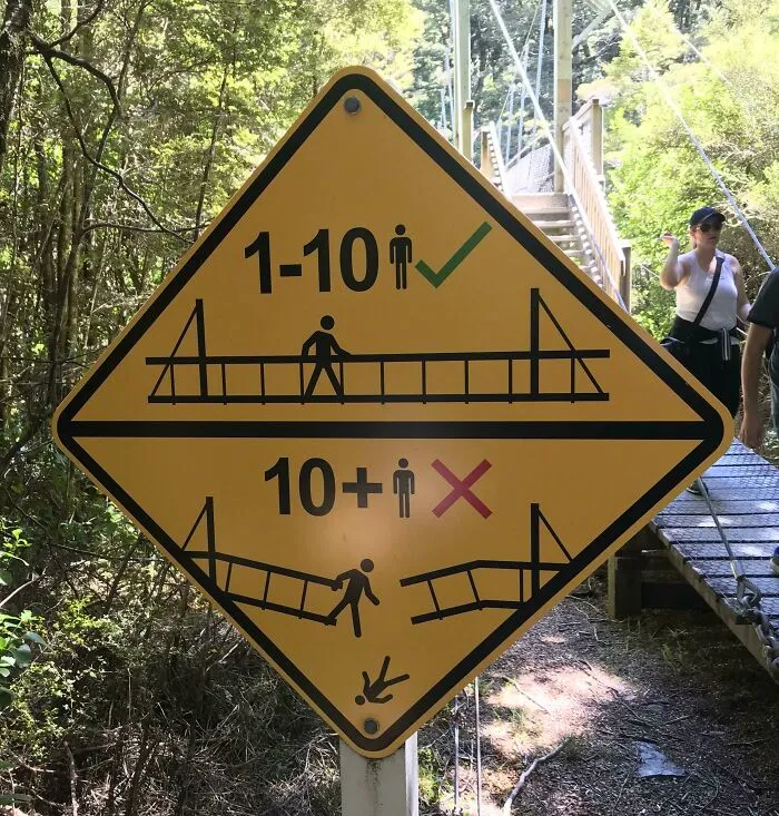 Crossing A Swing Bridge In Nz