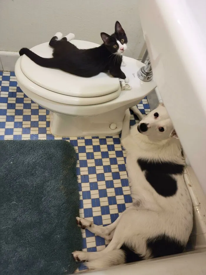 This Is What I See Each Time I'm About To Get Out Of The Shower
