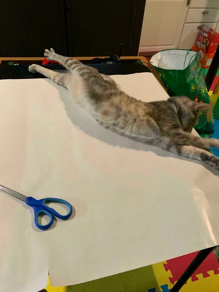 Helping Me Wrap Christmas Presents