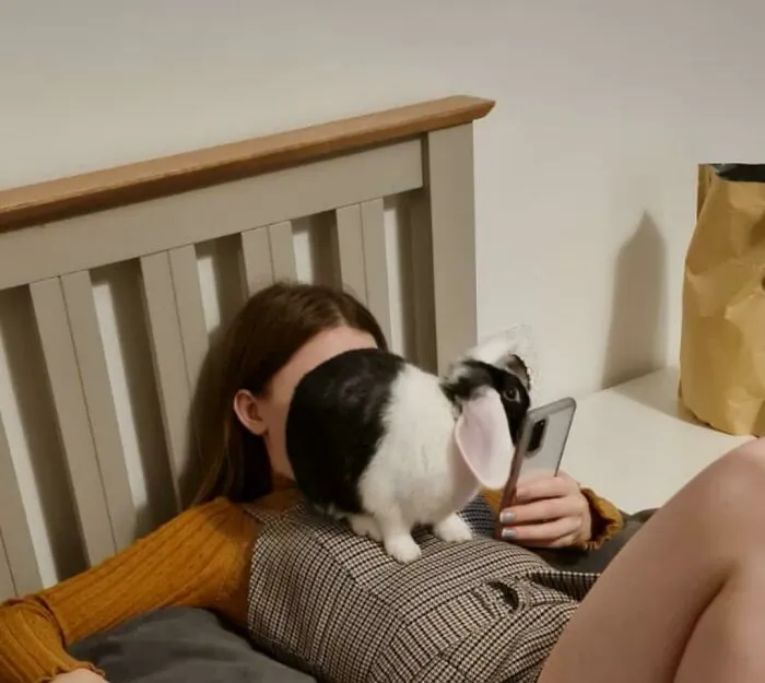 Traded My Personal Space For A House Rabbit