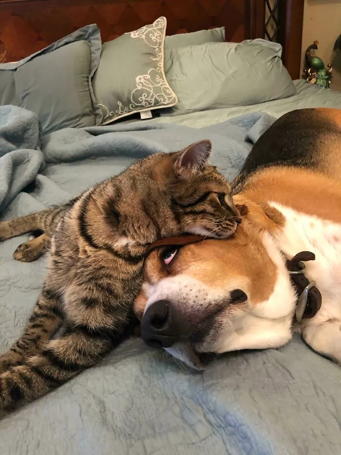 They’re Working On This Personal Space Thing