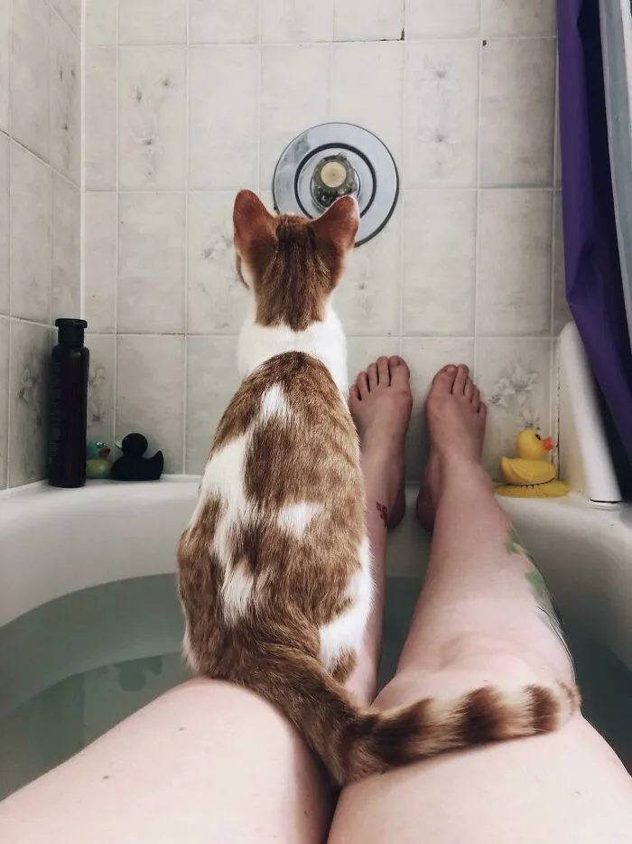 Igor Has No Respect For Personal Space