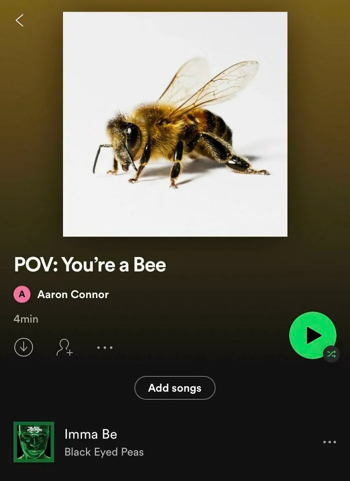 Pov: You’re A Bee