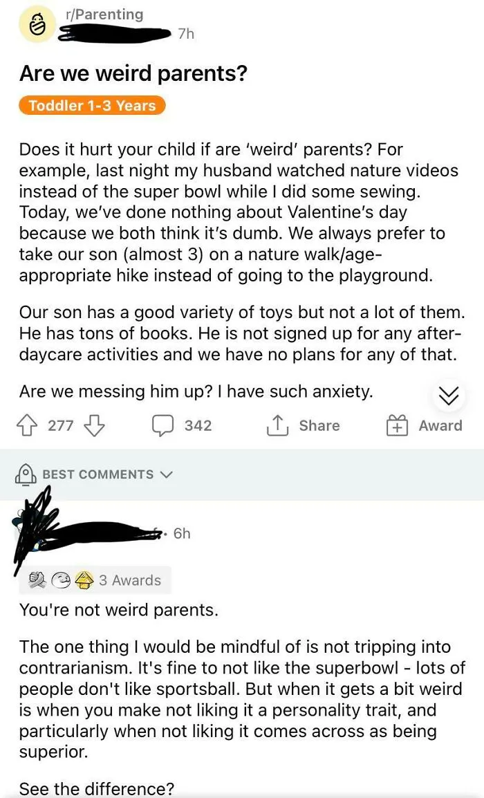 A Wild Reddit Notliketheotherparents