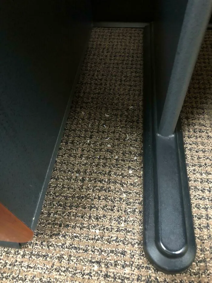 El lado del escritorio de mi compañero donde deja sus uñas y su piel muerta