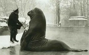 50 Important Historical Photos That Might Change Your Perspective On Things, As Shared By This Facebook Page