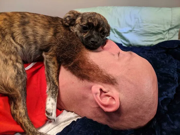The Concept Of Personal Space In Our Household Has Shifted Even More With Our Second Dog