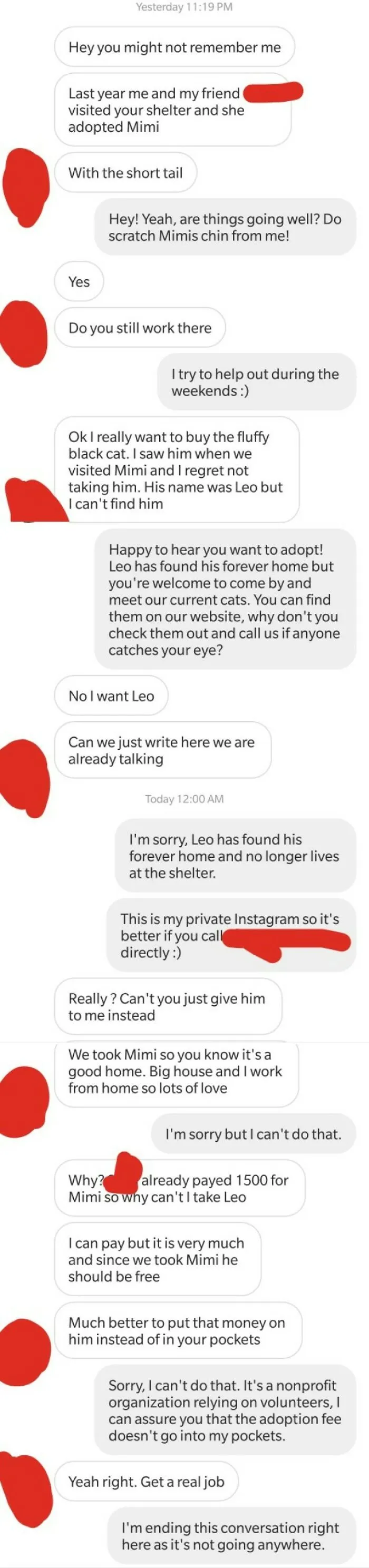 My Friend Adopted A Cat So I Want One Free And I Don't Care If He's Already Rehomed