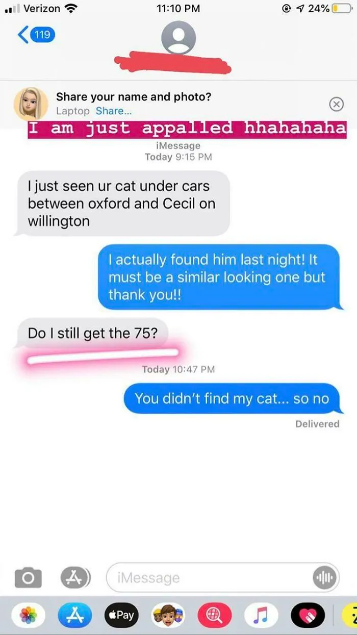 There Was A $75 Reward For A Lost Cat