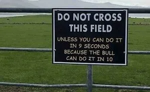 50 Funny Signs That Might Get You Wondering "Just What In The World Happened Here?"