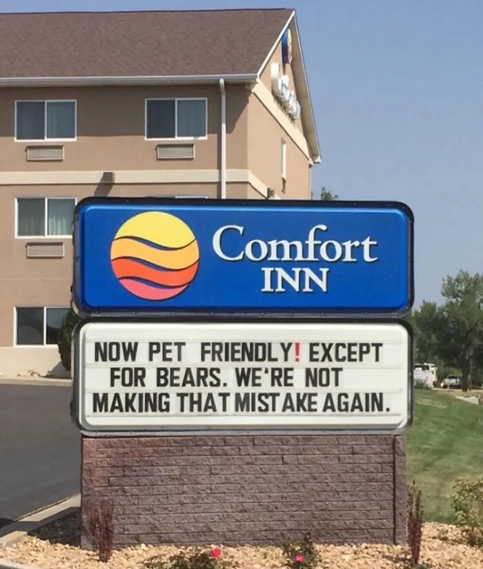 No Bears?