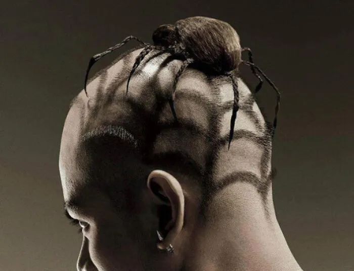 Unusual hairstyle resembling a spider on top of the head, showcasing a creative yet bizarre haircut design.