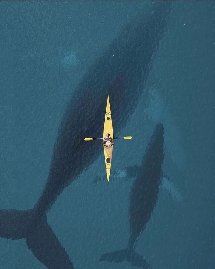 ¡En kayak con los Gigantes!
