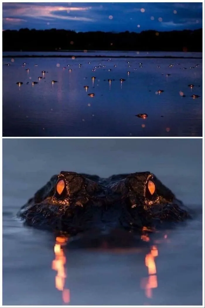 That’s Creepy
