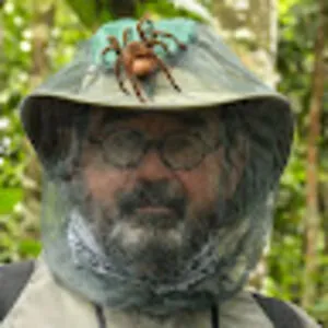 Dan Collins