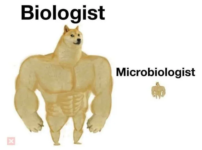30 Science Memes That Have Been Scientifically Proven To Cause Laughter (New Pics)
