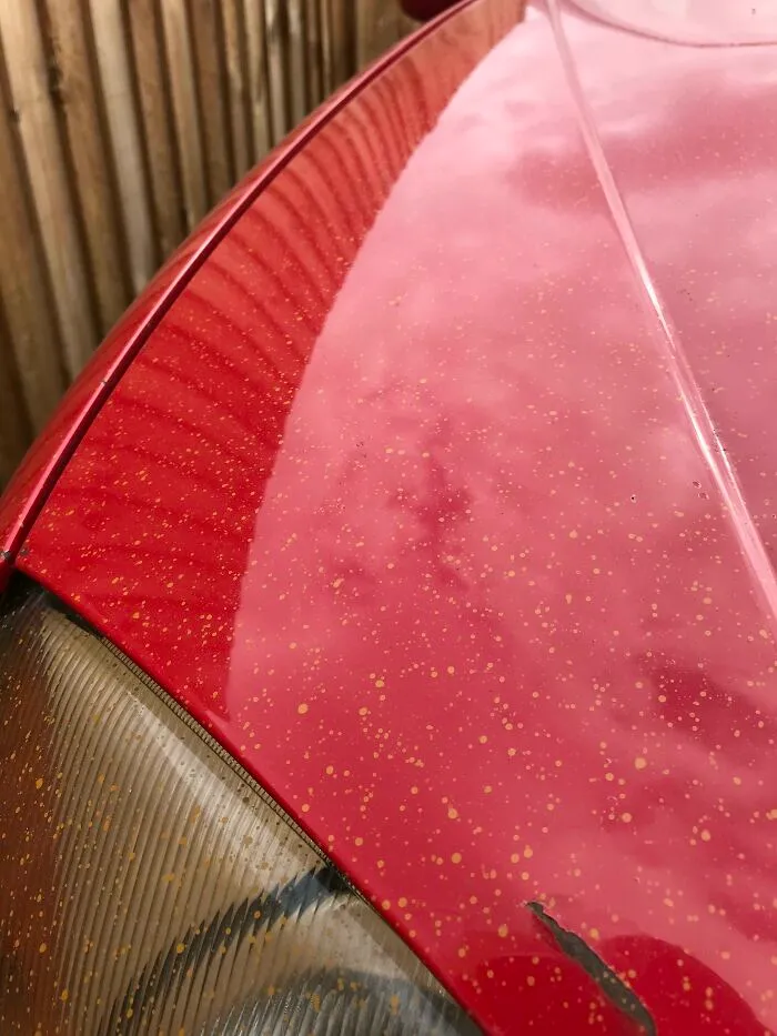 Los nuevos vecinos pintaron su valla ayer, ahora nuestro coche se ve así. Por todas partes