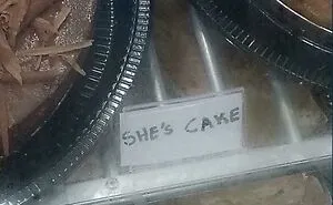 50 Times People Failed To Use The Correct Words And It Resulted In These Hilarious Mishaps (New Pics)