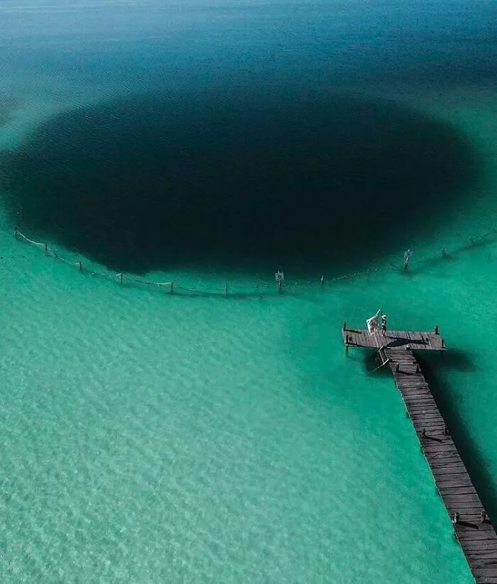 Un abismo aullador