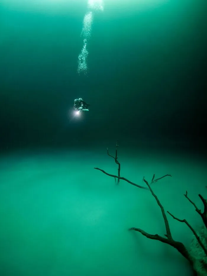 Brine Pools Are Just The Scariest S**t
