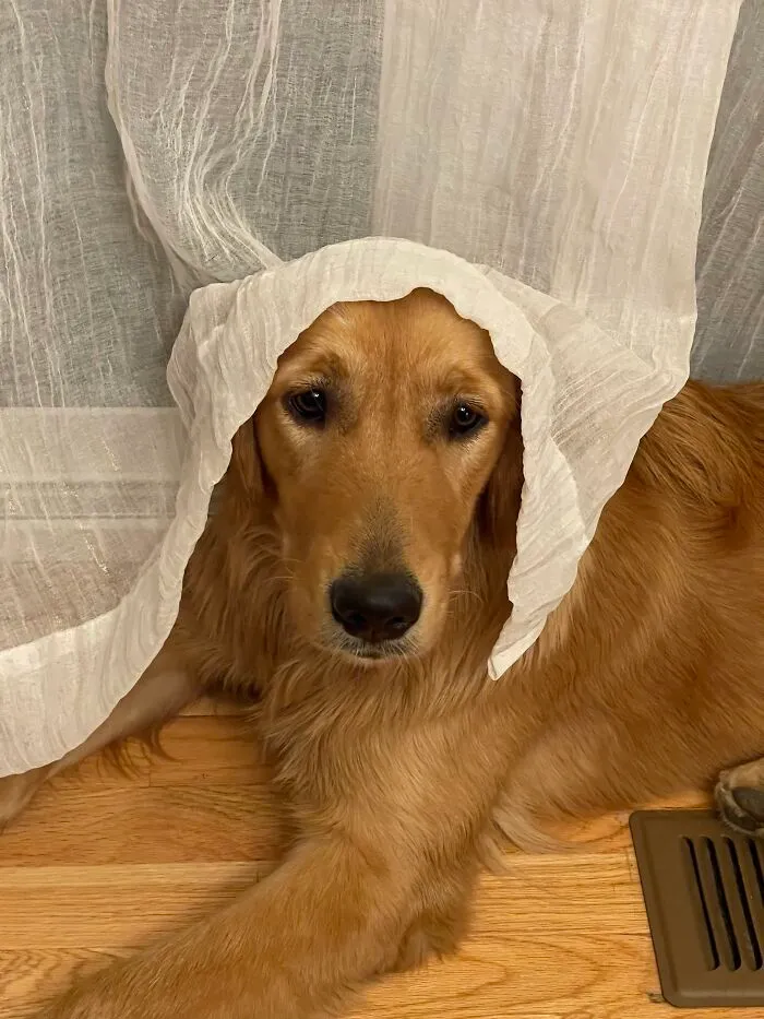 The Nun