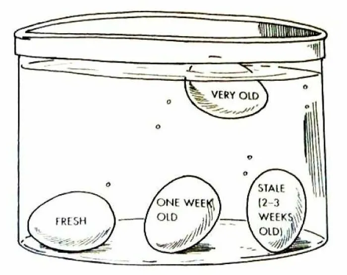 How Old Are Your Eggs