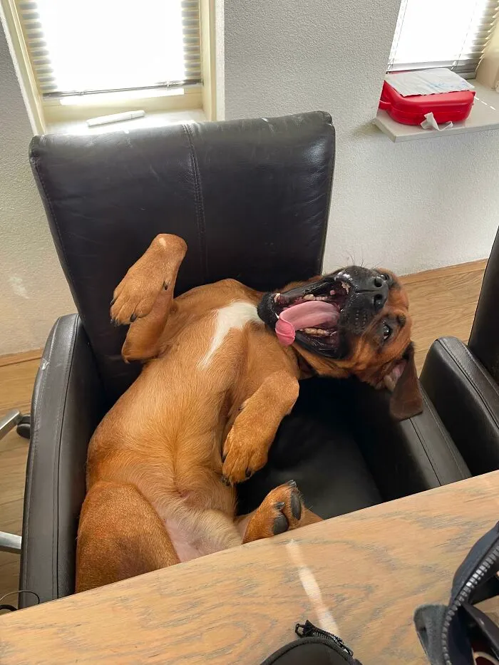 I’m Trying To Work But This Guy Is Distracting Me So Hard