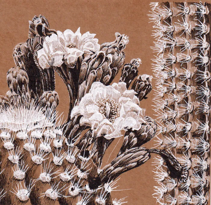 My Graphic Experiments On Craft Paper (13 Pics)