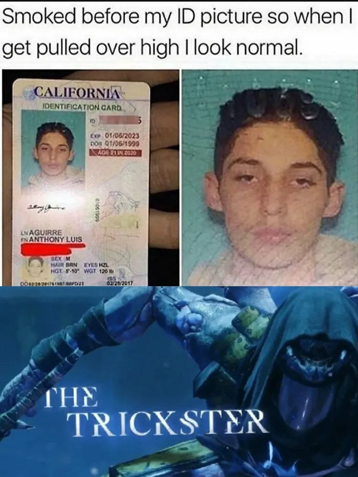 People Don't Usually Like Their ID Pics, But These 35 Are Hilarity On Another Level