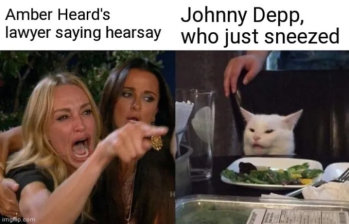 50 Tweets From Audiences Responding To The Final Testimonies In The Johnny Depp And Amber Heard Case