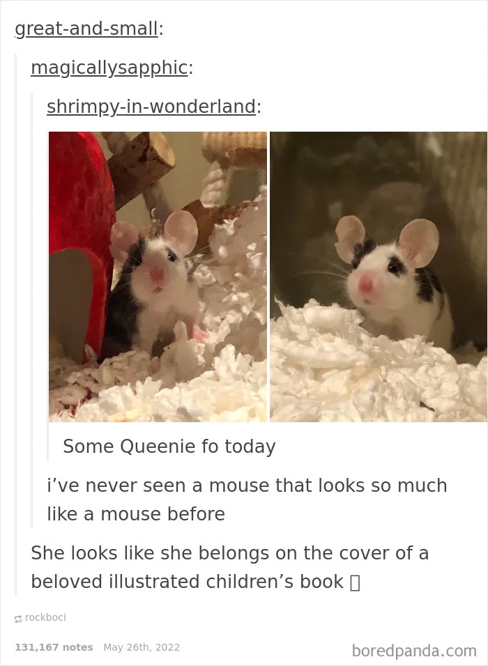 50 Times "The Weird Side Of Tumblr" Didn't Disappoint