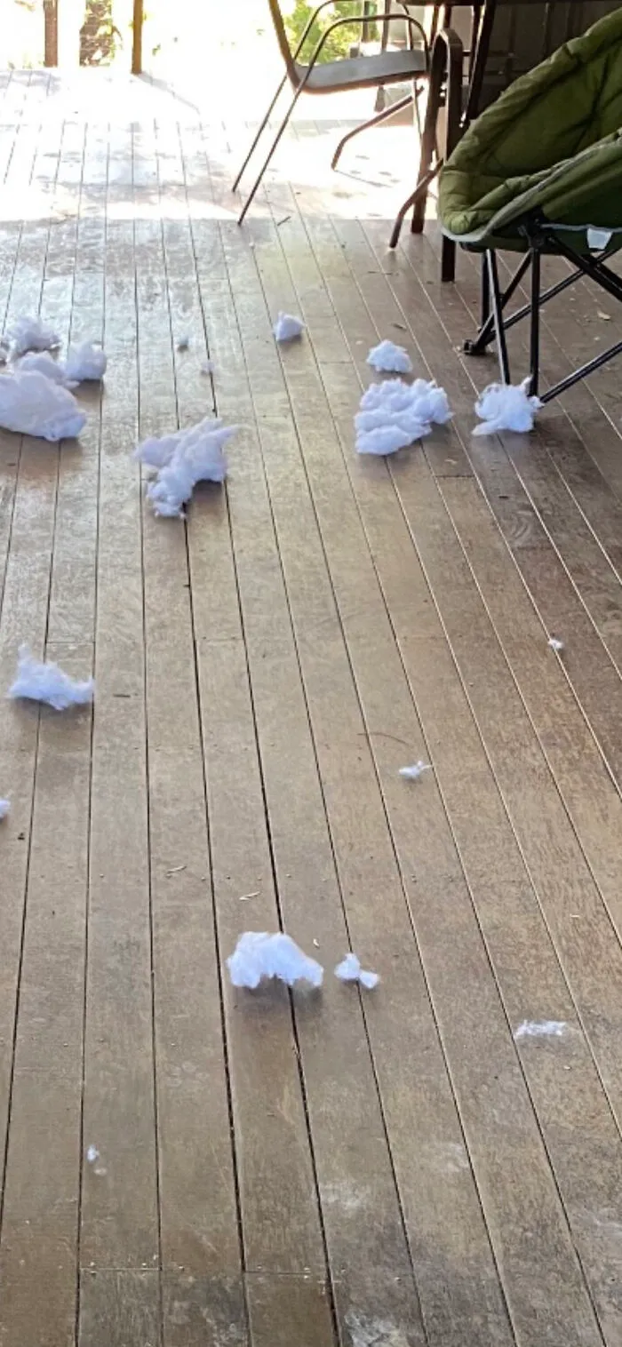 It Was A Cushion