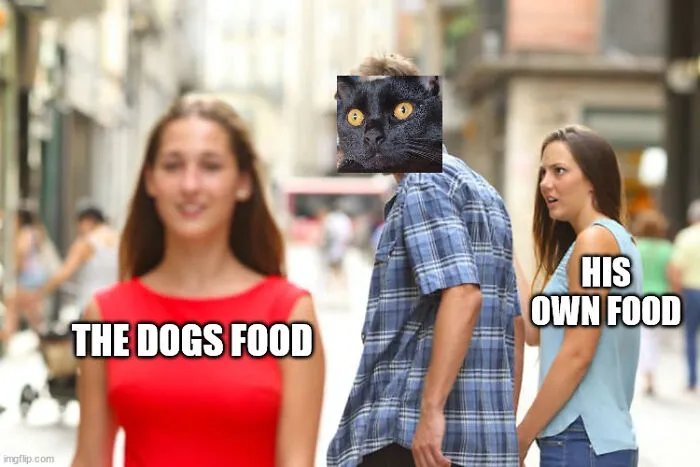 Every Time