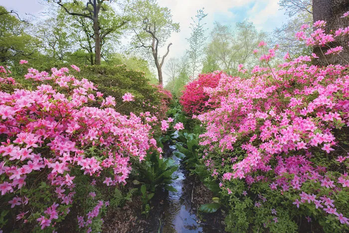 Most People Don't Know That London Is One Of The Greenest Cities In The World, And Here Are My 23 Photos To Prove It