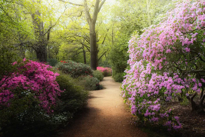 Most People Don't Know That London Is One Of The Greenest Cities In The World, And Here Are My 23 Photos To Prove It