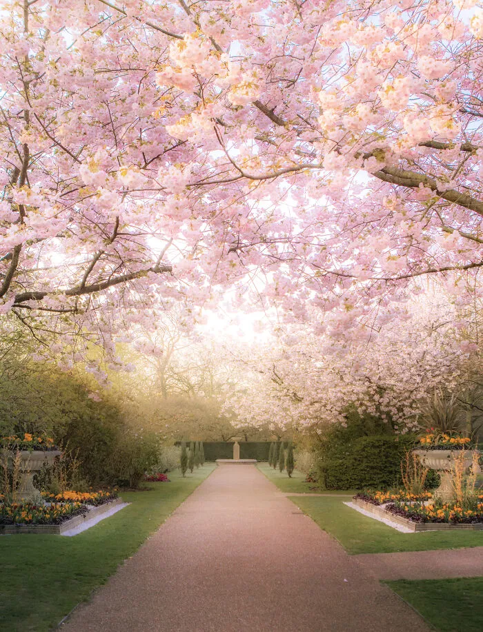 Most People Don't Know That London Is One Of The Greenest Cities In The World, And Here Are My 23 Photos To Prove It